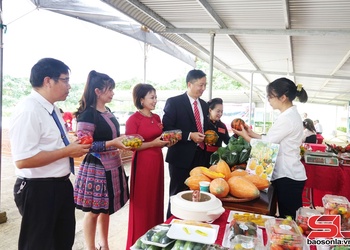 Xây dựng nông thôn mới sau sắp xếp đơn vị hành chính