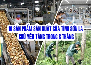 10 sản phẩm sản xuất của tỉnh Sơn La chủ yếu tăng trong 8 tháng  