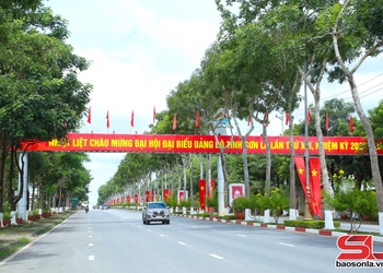 Chỉnh trang đô thị chào mừng Đại hội Đảng bộ tỉnh lần thứ XVI và kỷ niệm 130 năm thành lập tỉnh