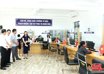 Kiểm tra hoạt động công vụ, cải cách hành chính