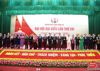 Bầu Đoàn đại biểu Đảng bộ tỉnh Sơn La đi dự Đại hội đại biểu toàn quốc lần thứ XIV của Đảng