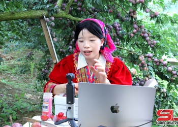 Thúc đẩy phát triển chuyển đổi số