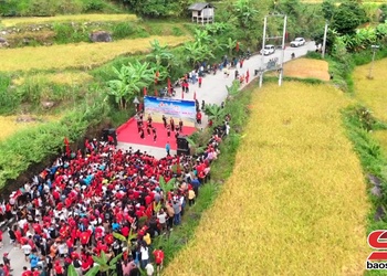 Giải chạy "Mùa vàng giữa mây ngàn bản Ít"