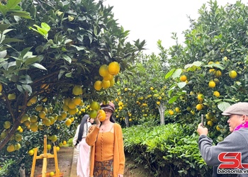 Phát triển du lịch xanh gắn với nông nghiệp tuần hoàn