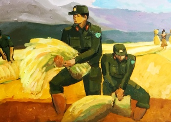 Giúp dân gặt lúa