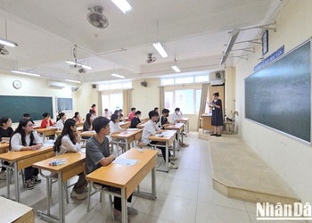 Bộ Giáo dục và Đào tạo: Cần thiết có “hệ số lương đặc thù” cho nhà giáo
