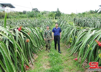 Chuyển đổi số - thúc đẩy nông thôn Sơn La phát triển