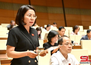 Đoàn đại biểu Quốc hội tỉnh Sơn La thảo luận tại Hội trường