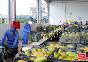 Thu hút đầu tư vào lĩnh vực chế biến nông sản