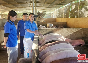 Tuổi trẻ xã Bắc Yên chung tay xây dựng nông thôn mới