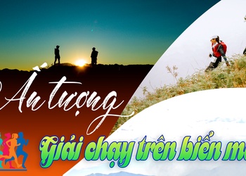 Ấn tượng giải chạy trên biển mây