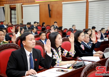 Thông qua nghị quyết thuộc lĩnh vực pháp chế, văn hóa – xã hội, dân tộc