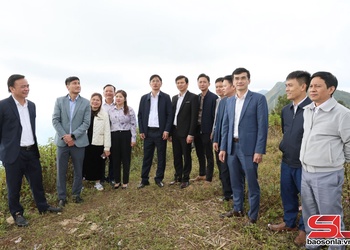 Đồng chí Phó Chủ tịch Thường trực UBND tỉnh làm việc với xã Mường Chanh