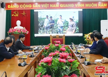 Thẩm định phóng sự phục vụ Đại hội đại biểu Hội Nông dân tỉnh Sơn La lần thứ XI