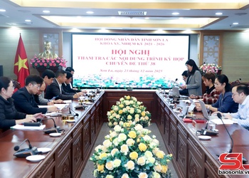 Ban Dân tộc thẩm tra các nội dung trình Kỳ họp Chuyên đề thứ 38, HĐND khóa XV