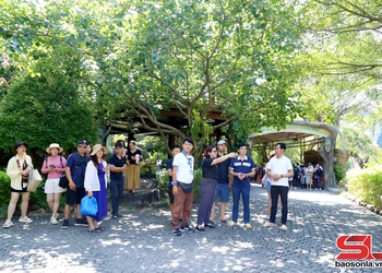 Phát huy vai trò cầu nối thúc đẩy du lịch phát triển