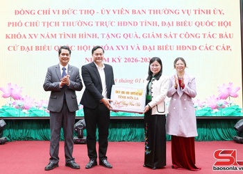 Đồng chí Phó Chủ tịch Thường trực HĐND tỉnh nắm tình hình và tặng quà Tết tại xã Bắc Yên