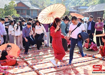 "Thiên đường xanh" Mộc Châu thu hút khách du xuân