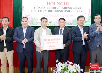 Cử tri quan tâm các giải pháp phát triển đô thị