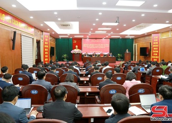 Họp Ban Chỉ đạo công tác bầu cử tỉnh Sơn La