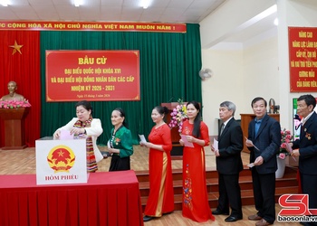 Tỷ lệ cử tri tỉnh Sơn La đi bầu cử đạt 99,72%