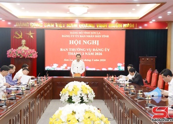 Hội nghị Ban Thường vụ Đảng ủy UBND tỉnh tháng 3/2026