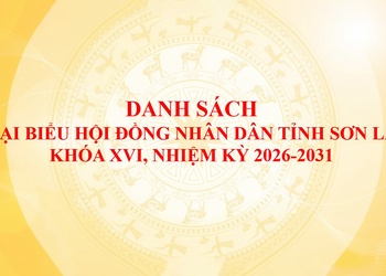ĐẠI BIỂU TRÚNG CỬ HĐND TỈNH SƠN LA KHÓA XVI, NHIỆM KỲ 2026-2031
