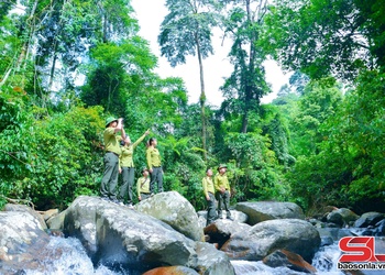 EUDR - Thách thức và cơ hội cho cà phê Sơn La