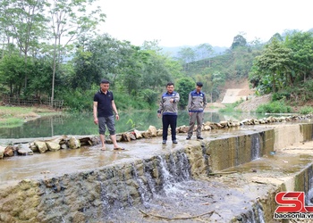 Đảm bảo nước tưới phục vụ sản xuất vụ xuân