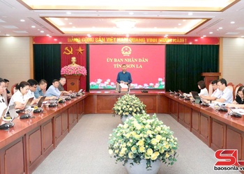 Tăng cường quản lý, sử dụng đất có nguồn gốc từ nông, lâm trường và đất do các công ty nông, lâm nghiệp đang quản lý, sử dụng