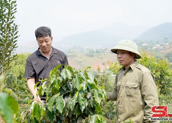 Mường Bám vươn lên từ thay đổi tư duy sản xuất