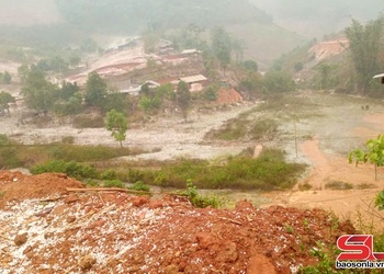 Mưa đá gây thiệt hại trên 100 ha hoa màu Phiêng Cằm