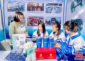 Giải quyết việc làm, đảm bảo an sinh xã hội