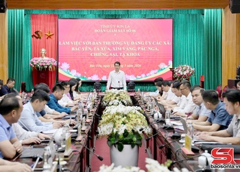 Công bố quyết định giám sát BTV Đảng ủy các xã khu vực Bắc Yên