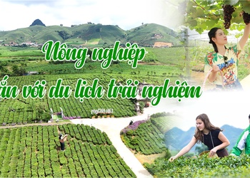 Nông nghiệp gắn với du lịch trải nghiệm
