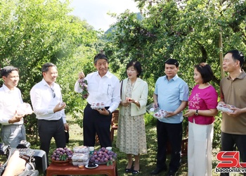 Ngoại giao kinh  tế - mở rộng cơ hội phát triển