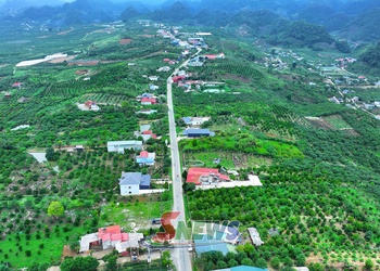 Chế biến sâu - nâng cao giá trị nông sản Sơn La