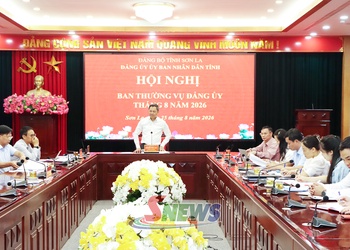 Hội nghị Ban Thường vụ Đảng ủy UBND tỉnh tháng 8/2026