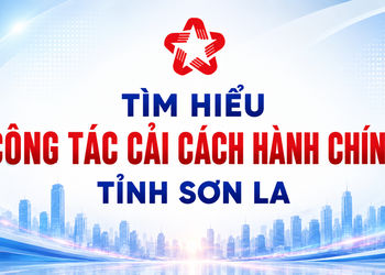 Thể lệ cuộc thi trực tuyến “Tìm hiểu công tác cải cách hành chính tỉnh Sơn La” năm 2026