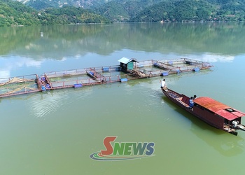 Sức sống mới ở Tân Phong
