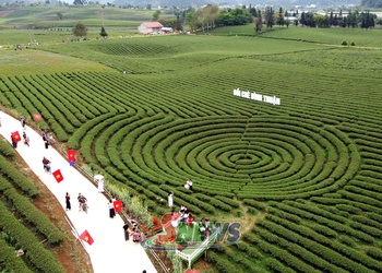 Bình Thuận phát triển kinh tế nông nghiệp kết hợp du lịch sinh thái