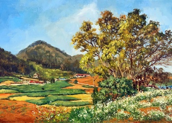 Mộc Châu mùa hoa cải