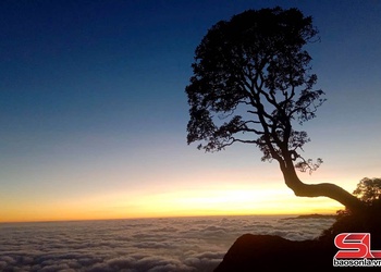 Conquering Phu Sa Phin peak