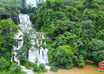 "Moc Chau" geographical name used for agricultural products and tourism services