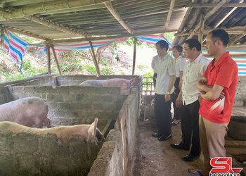Tổng kết bón dệt sanh tảnh liệng mù me chấp năm toi luông tiêng àn sinh học