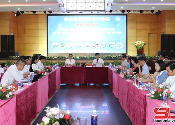 Northwestern provinces, HCM City boost tourism development cooperation
