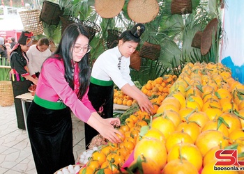 Nặm Ét thiaz Tân Lang huôv tsar ntông nox txir