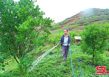 Vân Hồ muôx 4.430 ha ntông nox txir