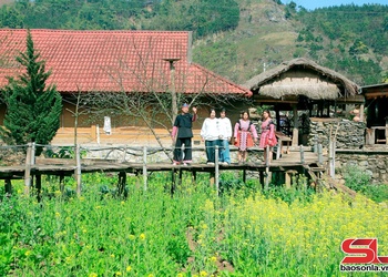 Moc Chau township's Tan Yen commune welcomes 120,000 tourists