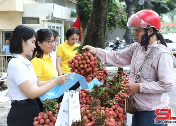 Paz muôs 1 tấn 5 txir lưv tsiz lox Bắc Giang